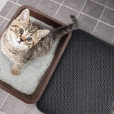 🎉LAST DAY SALE 59% OFF🔥Non-Slip Cat Litter Mat-BUY 3 GET 1 FREE