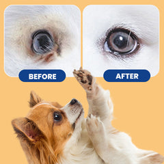 Hot sale 50% off Non-washable Pet Cleaning Wipes without Irritation