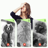 🎉 Last Day Promotion-49% OFF 🫧Gentle Pet Cleaning No-Rinse Gloves