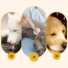 š¶ Limited Time Half Price - Outdoor Drinking Mug for Dogs