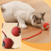 🔥Intelligent Chirping Rolling Interactive Cat Toy Ball🐾