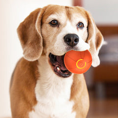 Smart Interactive Dog Toy Bouncing Ball