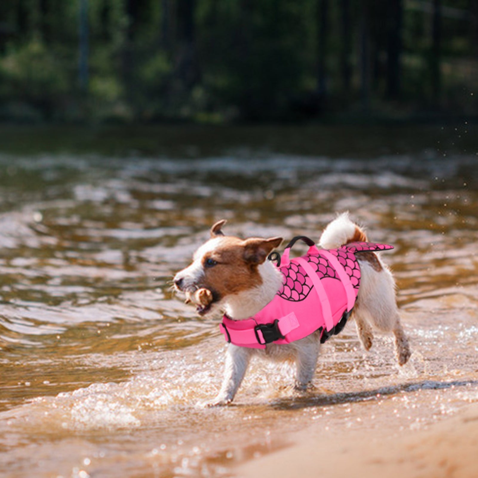 Dog Life Jacket Ripstop Shark Dog Safety Vest Adjustable Preserver with High Buoyancy and Durable Rescue Handle for Small,Medium,Large Dogs, Pink Fish X-Small