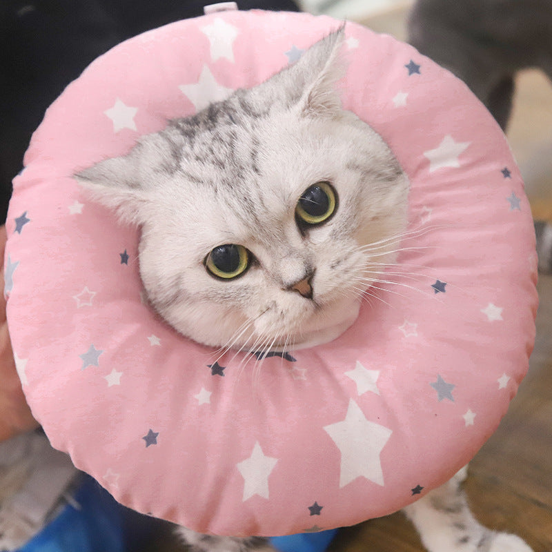 Anti-Lick Recovery Collar for Cats and Dogs
