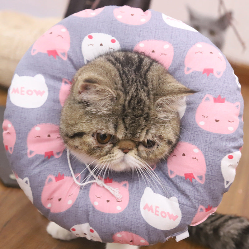 Anti-Lick Recovery Collar for Cats and Dogs