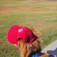 Fashionable Corduroy Dog Hat