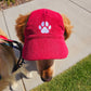 Fashionable Corduroy Dog Hat