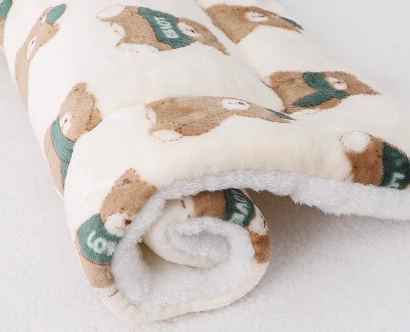 🔥Limited stock available 50% OFF🔥🐾Hot Sale BUY 1 GET 1 FREE🐱2025 New Upgraded Super Cosy Calming Pet Blanket