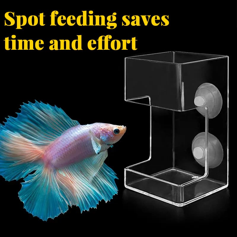 Aquarium Feeding Ring and Tray（50% OFF）