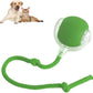 RolliePet smart chase pet toy ball