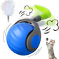 Interactive Rechargeable Cat Toy Ball