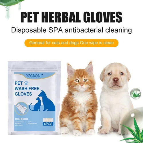 HOT SALE🔥-50%OFF Pet Clean Wash Free Gloves