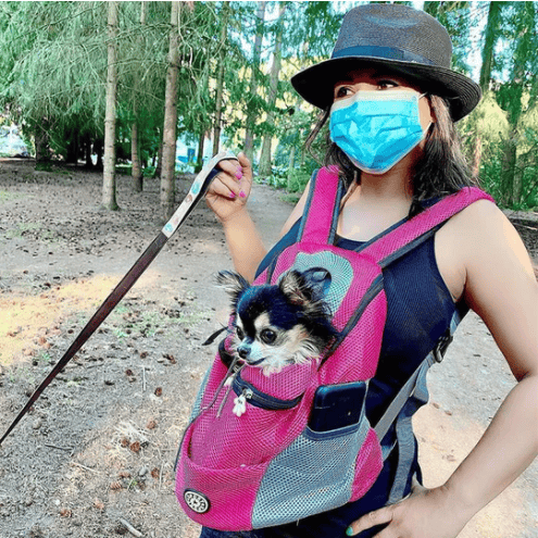 🔥New Year Sale 49% OFF🐕Lovely Dog Carrier Backpack