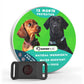 🔥2025 HOT SALE - ✨ 12 Months Flea and Tick Free