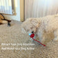 RolliePet smart chase pet toy ball