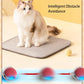 RolliePet smart chase pet toy ball