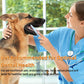 Pet Toothbrush Pen