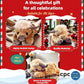Christmas Sale🐂🎁Cute Cartoon Highland Cow Cuddly Toy🏆High-quality Official Store