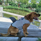 Pet swimsuit life jacket Golden retriever Corgi Fate Teddy large, medium and small dogs and dogs for water play at the beach