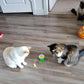 Interactive Flying Bird Cat Toy