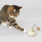 Smart Interactive Cat Teaser Toy with Feather & Light