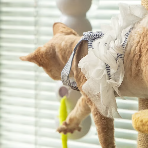 New💥2025 Hot Sale!🐛Interactive Electric Caterpillar Cat Toy