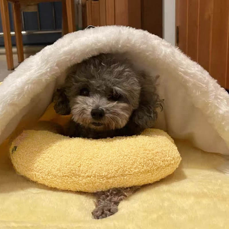 🎁2025 New Year Sale 49% OFF🎁Calming Pillow - Soothe Anxious Pets