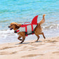 Pet dog swimming ring life jacket dog swimming outdoor summer puppy big dog supplies dog life jacket