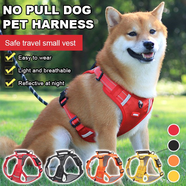 🔥Hot sale-50% Off🔥🐕Price - Pet Leash Free!