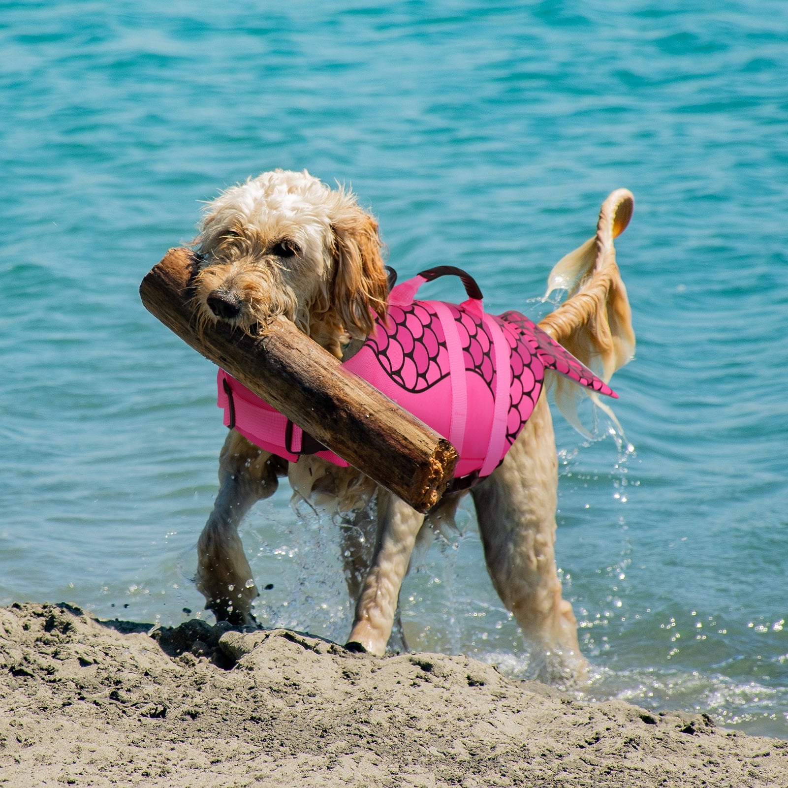 Dog Life Jacket Ripstop Shark Dog Safety Vest Adjustable Preserver with High Buoyancy and Durable Rescue Handle for Small,Medium,Large Dogs, Pink Fish X-Small