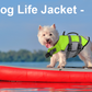 New dog life jacket small medium and large dogs pet swimming life-saving supplies large buoyancy reflective stripes large size