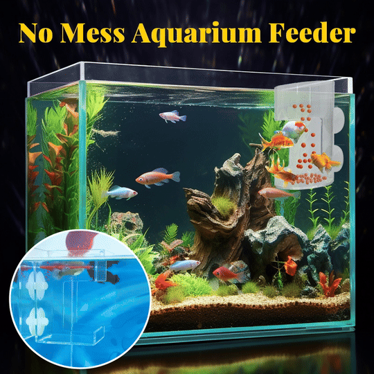 Aquarium Feeding Ring and Tray（50% OFF）