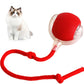 RolliePet smart chase pet toy ball