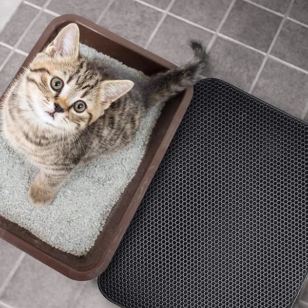 🎉LAST DAY SALE 59% OFF🔥Non-Slip Cat Litter Mat-BUY 3 GET 1 FREE