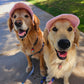 Fashionable Corduroy Dog Hat