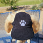 Fashionable Corduroy Dog Hat