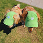 Fashionable Corduroy Dog Hat