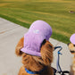 Fashionable Corduroy Dog Hat