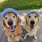 Fashionable Corduroy Dog Hat
