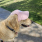 Fashionable Corduroy Dog Hat