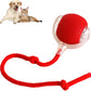 RolliePet smart chase pet toy ball