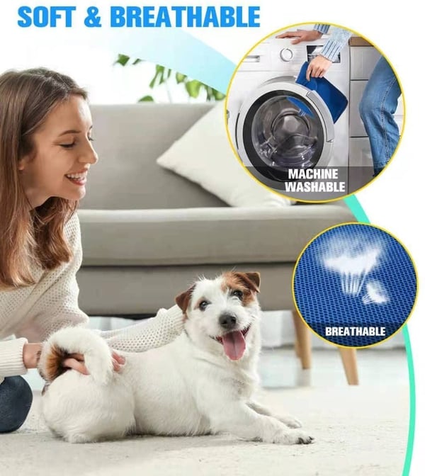 🐕Pet Grooming Hammock 🐱（Free beauty tool package）🐕