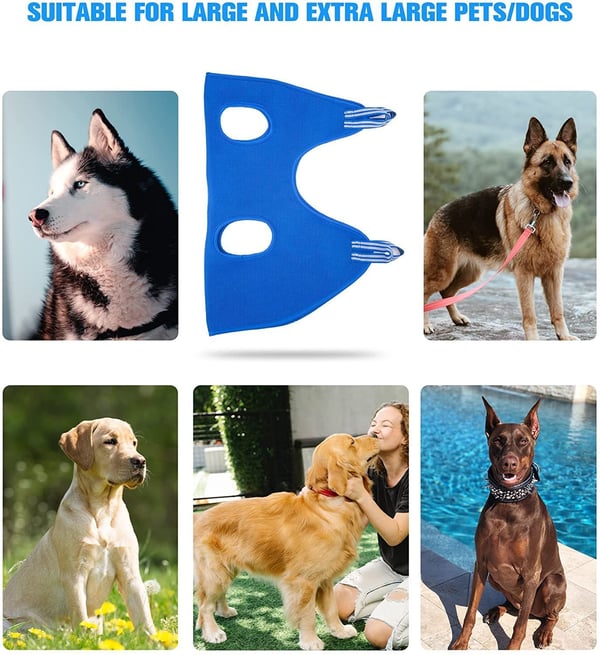 🐕Pet Grooming Hammock 🐱（Free beauty tool package）🐕