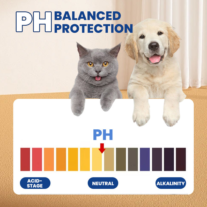 Hot sale 50% off Non-washable Pet Cleaning Wipes without Irritation