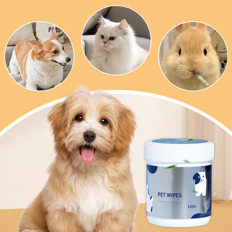 Hot sale 50% off Non-washable Pet Cleaning Wipes without Irritation