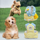 Summer Pet Chest Harness with Matching Adorable Hat