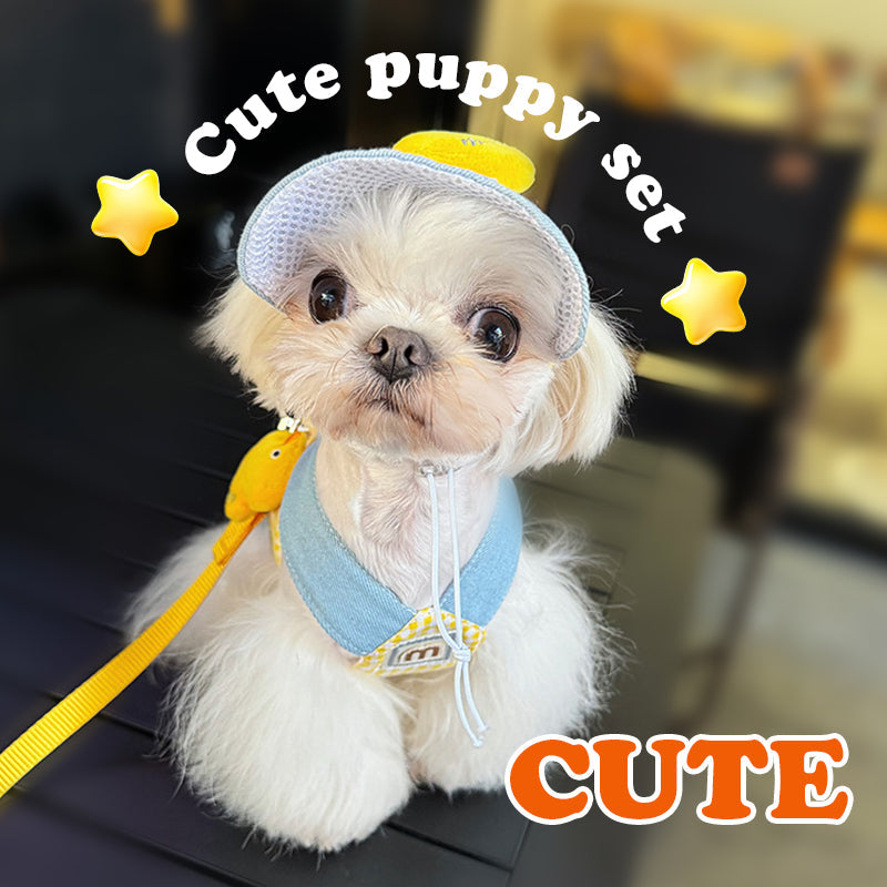 Summer Pet Chest Harness with Matching Adorable Hat