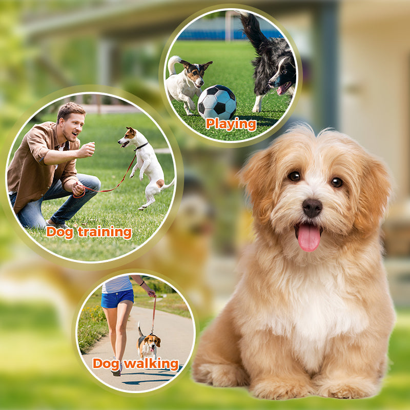 Summer Pet Chest Harness with Matching Adorable Hat