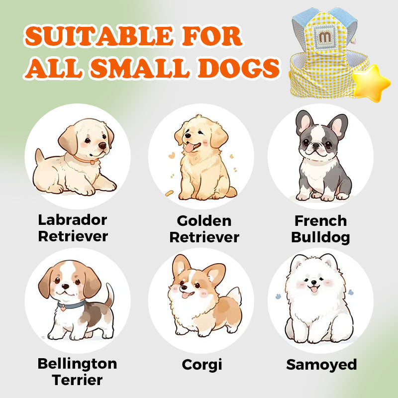 Summer Pet Chest Harness with Matching Adorable Hat