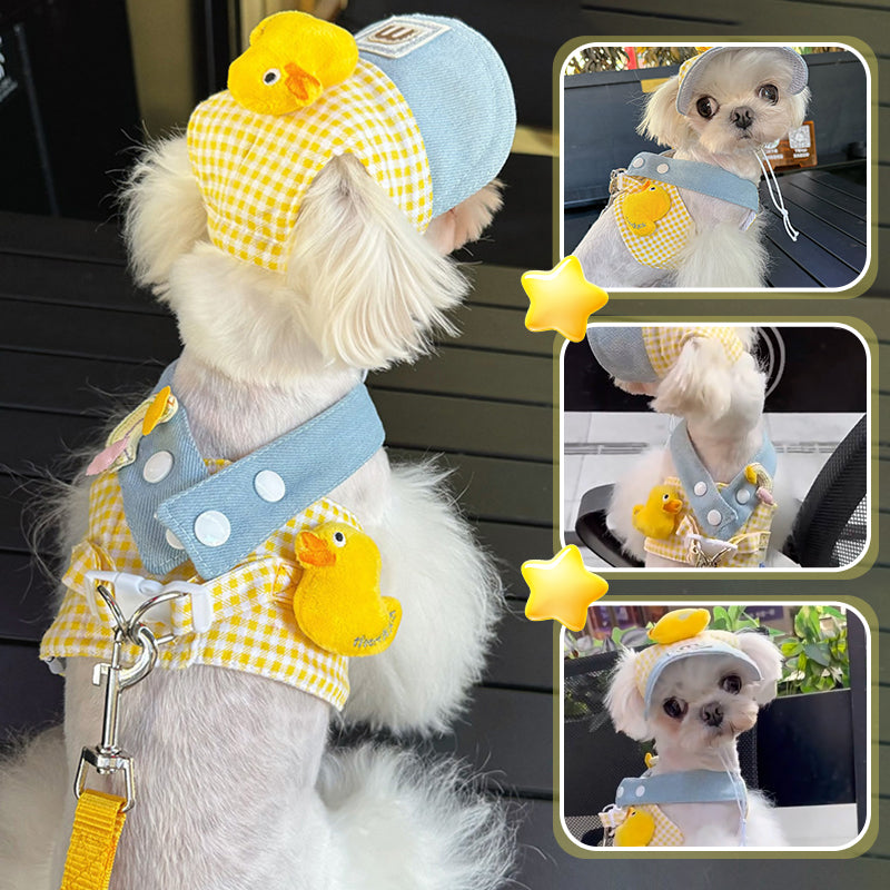Summer Pet Chest Harness with Matching Adorable Hat